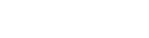 alvi Studio Logo
